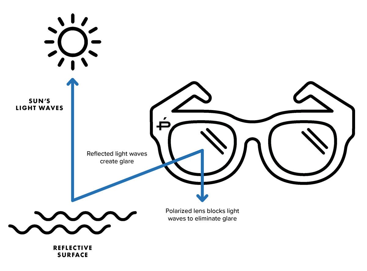 How do polarized glasses work online