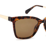 Havana | Privé Revaux Art Crawl Sunglasses