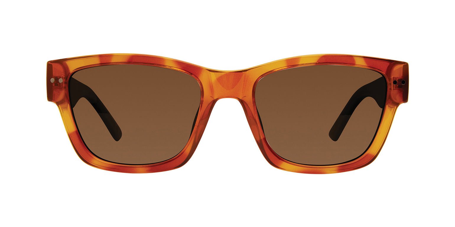 Havana Honey | Privé Revaux The Alton Tortoise Sunglasses for Men